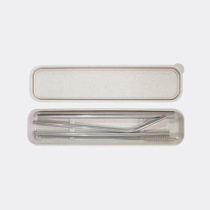 Stainless Steel Straw Set of 5